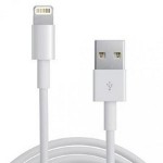 Picture of Apple iPhone Lightning to USB Cable for All Models and 6s