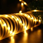 Picture of Solar Rope Lights 100 LEDs String Lights Starry Fairy Lights,33 ft/10meter Waterproof Outdoor Tube for Patio, Garden, Party (Warm White)
